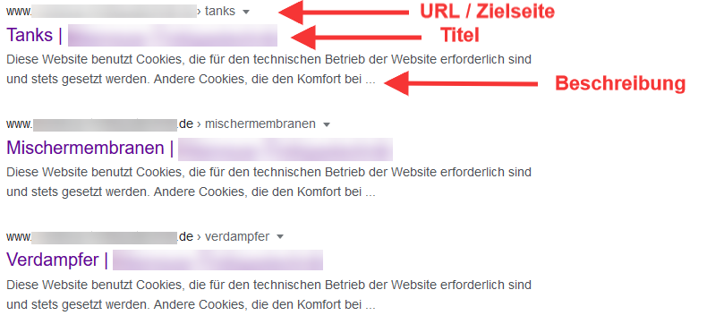 B2B SEO: Beispiel Snippet